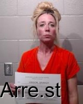 Brandy Michele Vinson Mugshot