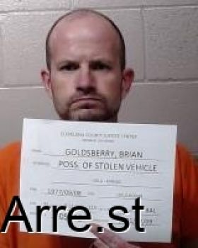 Brian Werner Goldsberry Mugshot