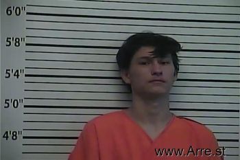 Caleb  Sonnier Mugshot