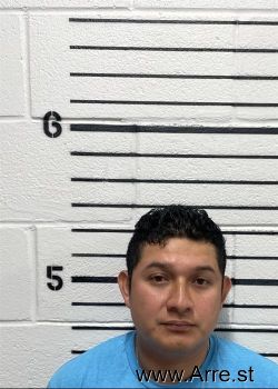 Carlos Guerrero Sanchez Mugshot