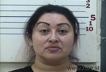 Christina Marie Casillas Mugshot