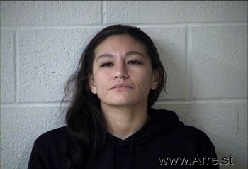 Christina Nicole Roubideux Mugshot