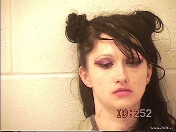 Christine Irene Blaylock Mugshot