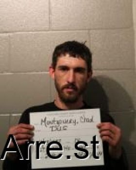 Chad Ellis Montgomery Mugshot