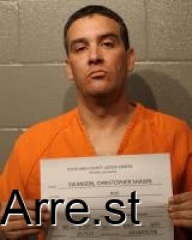 Christopher Shawn Swanson Mugshot