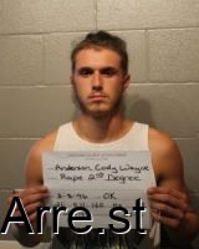 Cody Wayne Anderson Mugshot