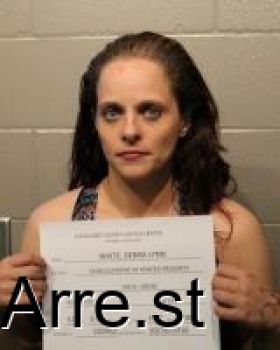 Debra Lynn White Mugshot