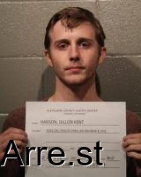 Dillon Kent Hanson Mugshot