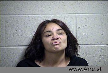 Erica Lea Vasquez Mugshot