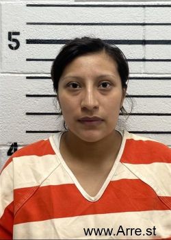 Esmeralda  Guarcas-morales Mugshot