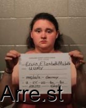 Elizabeth Michelle Erwin Mugshot