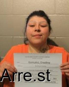 Enedina Marina Gonzalez Mugshot