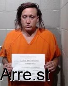 Ericka Marie Danna Mugshot