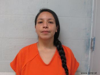 Erika Rafaela Rodriguez Mugshot