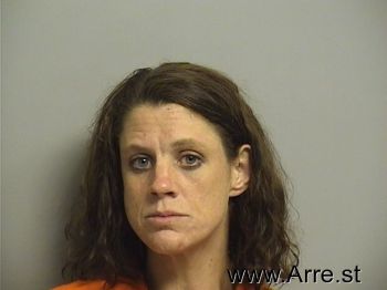 Erin Dianna Robbins Mugshot