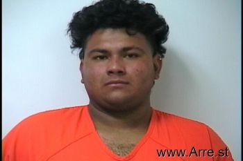 Herberth  Torres Mugshot