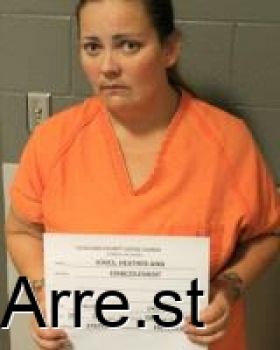 Heather Ann Jones Mugshot