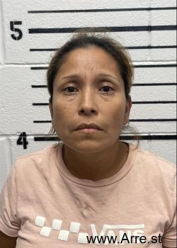 Isabel Ramirez Garcia Mugshot