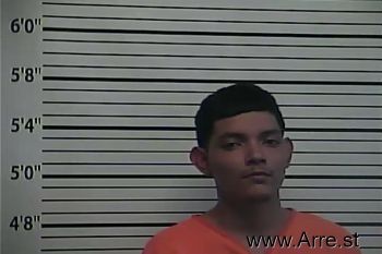 Jamie Arriaga Rodriguez Mugshot