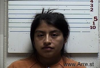 Jenny Leticia Martinez Mugshot