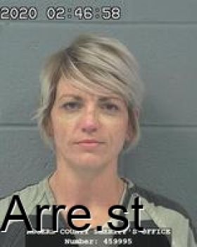 Jodi Lynn David Mugshot