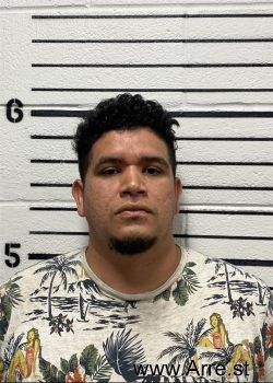 Jonatan Edgardo Luna Mugshot