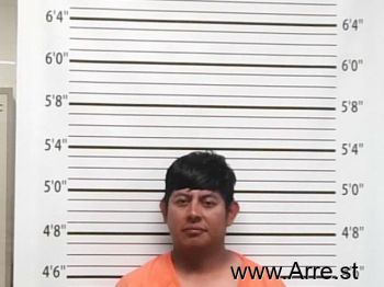 Jose Toledo Villarreal Mugshot