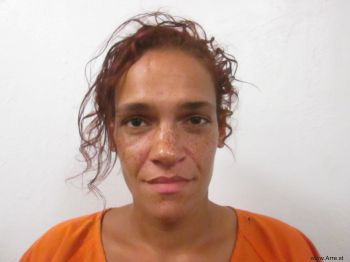 Jessica Erin Dunnam Mugshot