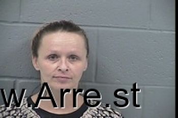 Julie Diane Collins Mugshot