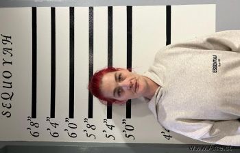 Lauren  Harris Mugshot