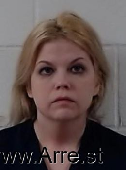 Lindsey Leigh Vanblaricom Mugshot