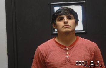 Logan Riley Lowrey Mugshot