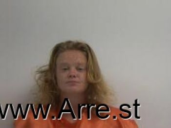 Lori Ann Dibler Mugshot