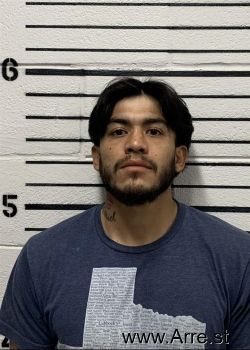 Luis G Anchondo Balderrama Mugshot