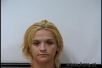 Lisa Marie Murray Mugshot