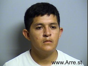 Luis Armando Herrera-garcia Mugshot