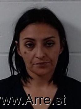 Marisela  Gaucin Mugshot