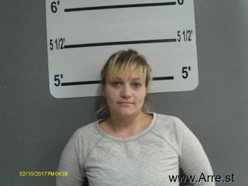 Meagan Lynn Larson Mugshot