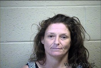 Melissa Kaye Mills Mugshot