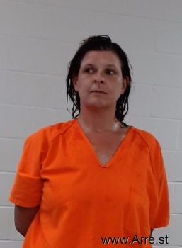 Mersaides Diane Schmit Mugshot