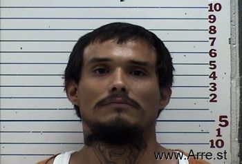 Michael Vincent Elam-wauqua Mugshot