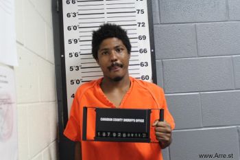 Michael Arthur Hollins Mugshot