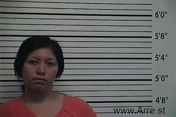 Michelle  Mcadams Mugshot