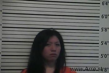 Michelle  Mcadams Mugshot