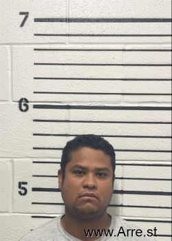 Moises Mendez Aleman Mugshot