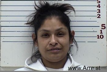 Monica Lynn Smith Mugshot