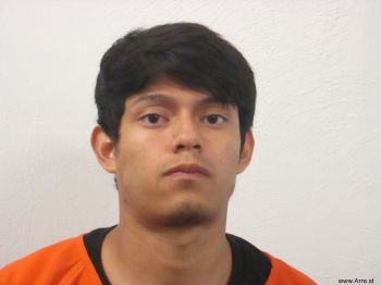 Martin Fernando Ibarra Mugshot