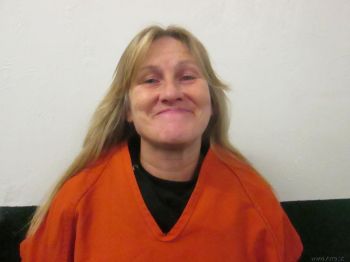 Mary Rene Collins Mugshot