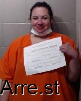 Megan Elizabeth Smith Johnson Mugshot