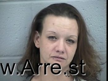 Michelle Marie Miller Mugshot